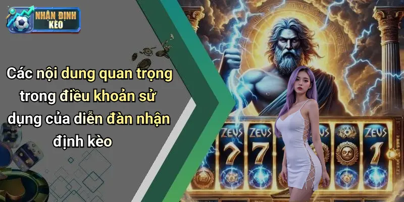 Các nội dung quan trọng trong điều khoản sử dụng của diễn đàn nhận định kèo