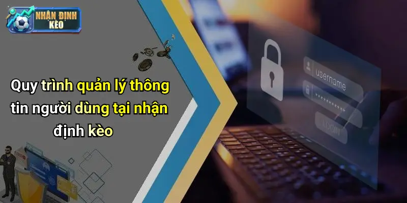 Quy trình quản lý thông tin người dùng tại nhận định kèo