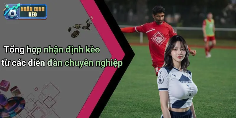 Tổng hợp nhận định kèo từ các diễn đàn chuyên nghiệp