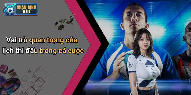 Vai trò quan trọng của lịch thi đấu trong cá cược