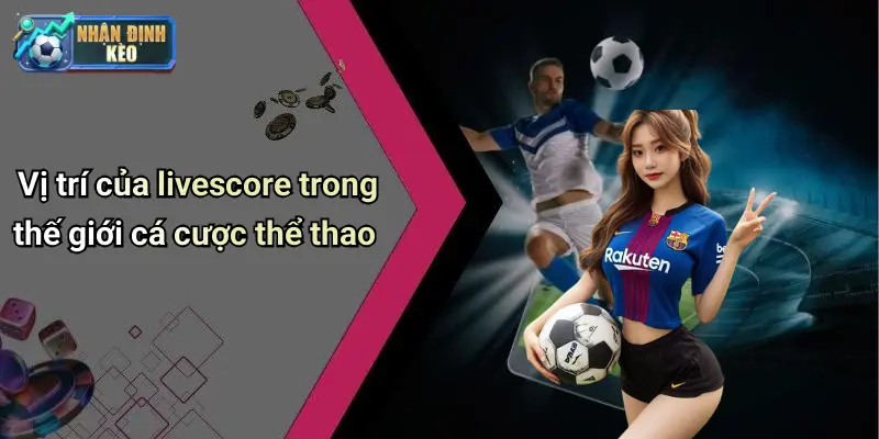 Vị trí của livescore trong thế giới cá cược thể thao