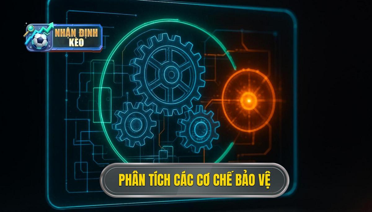 Phân Tích Chuyên Sâu Các Cơ Chế Phòng Ngự
