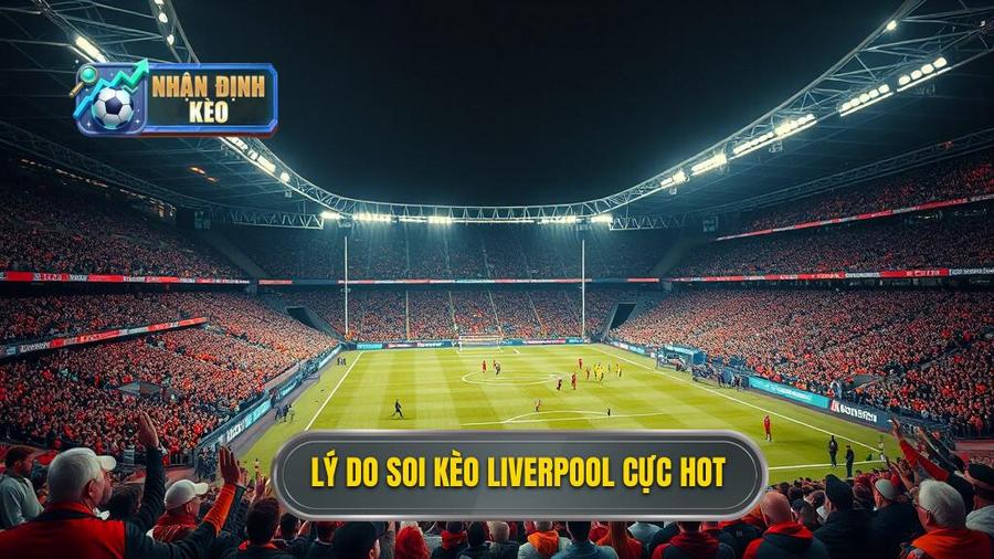 1. Tại sao soi kèo Liverpool hôm nay lại thu hút người chơi?