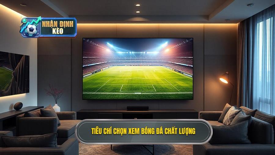 Những tiêu chí lựa chọn địa chỉ xem trực tiếp bóng đá hôm nay chất lượng