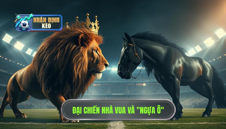 1. Bối cảnh trận đấu: Đẳng cấp nhà vua và "Ngựa ô" châu Phi 1. Bối cảnh trận đấu: Đẳng cấp nhà vua và "Ngựa ô" châu Phi